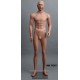 Male Mannequin MD TE07