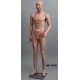 Male Mannequin MD TE22