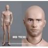 Historia Mannequin Male MD TE30