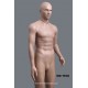 Historia Mannequin Male MD TE30