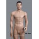 Male Mannequin MD TE31