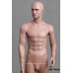 Male Mannequin MD TE34