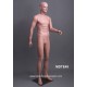 Mannequin Homme MD TE45