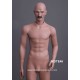 Mannequin Homme MD TE46